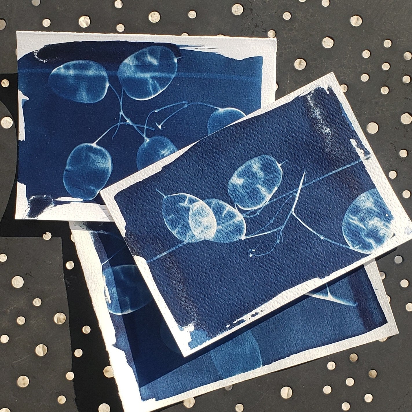 Atelier Cyanotype - 21 février